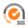 Logo SGS-1